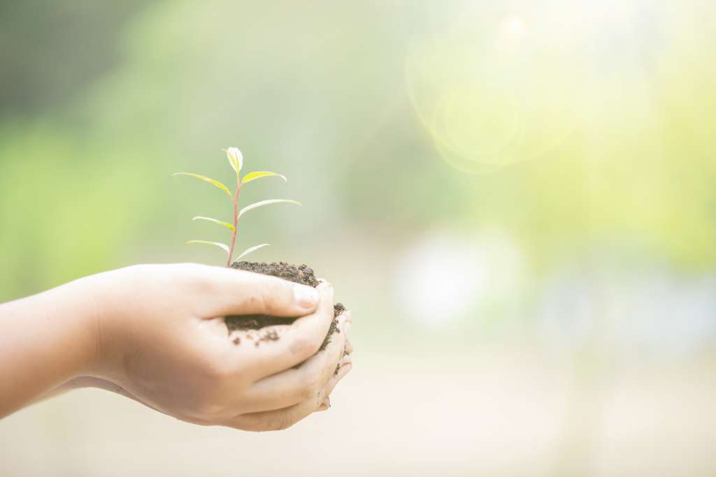 Label'Énergie - Respect de l’environnement et des normes CE - Matériaux naturels et écologiques en Savoie